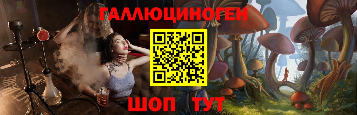 Каменка  Галлюциногенные грибы GOLDEN TEACHER  купить   Вход с VPN 
